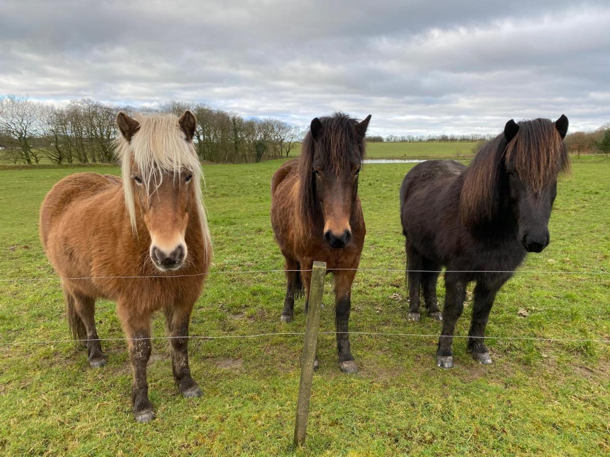 Nyopfort Luksusvaerelse I Naturskonne Og Rolige Omgivelser Branderup Exterior foto
