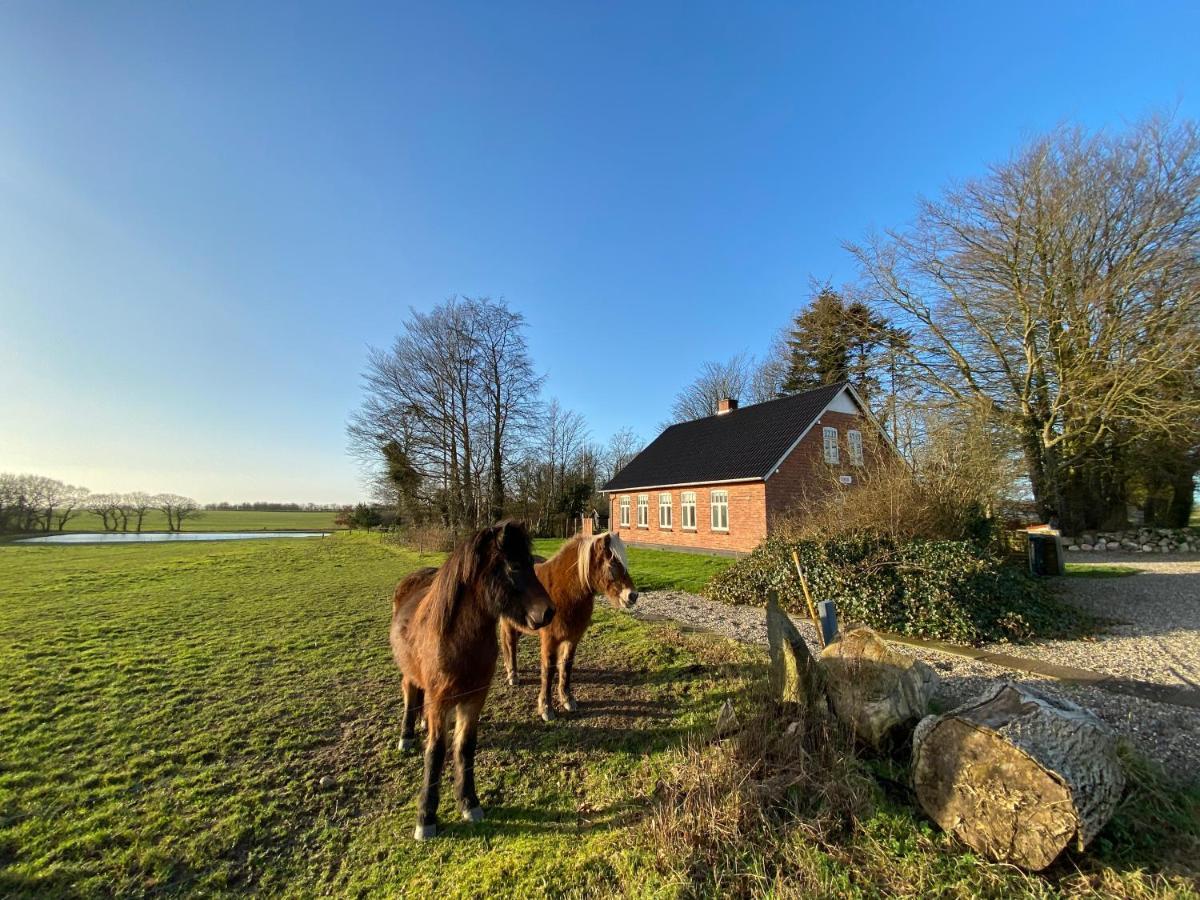 Nyopfort Luksusvaerelse I Naturskonne Og Rolige Omgivelser Branderup Exterior foto